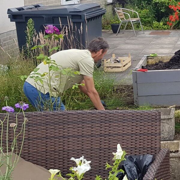 Elmhurst's War on Weeds